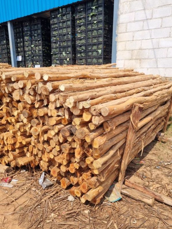 9 Feet Round Wooden Pole