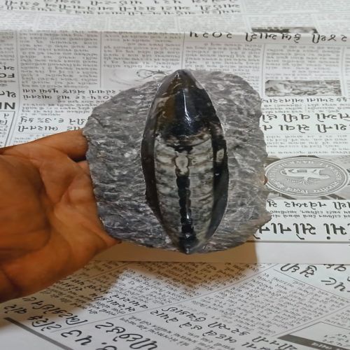 Black Natural Kuber Stone