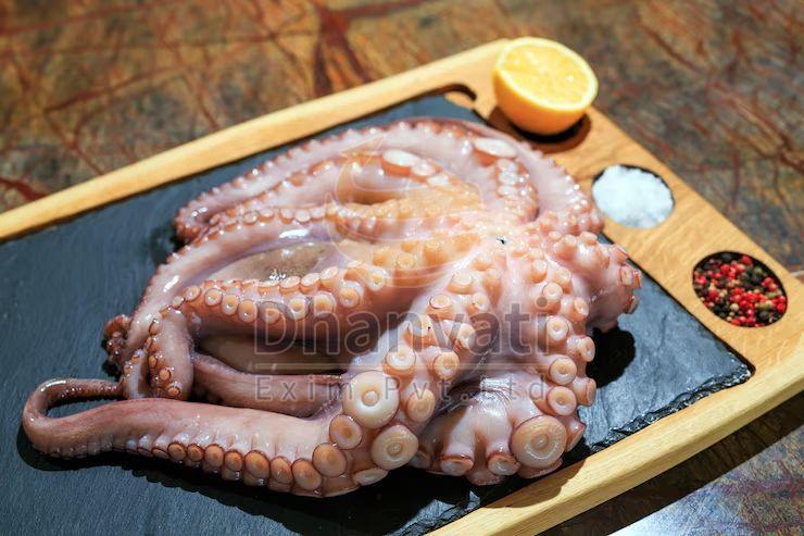 Fresh Octopus
