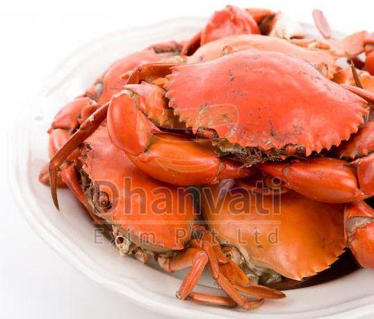 Fresh Sea Crab