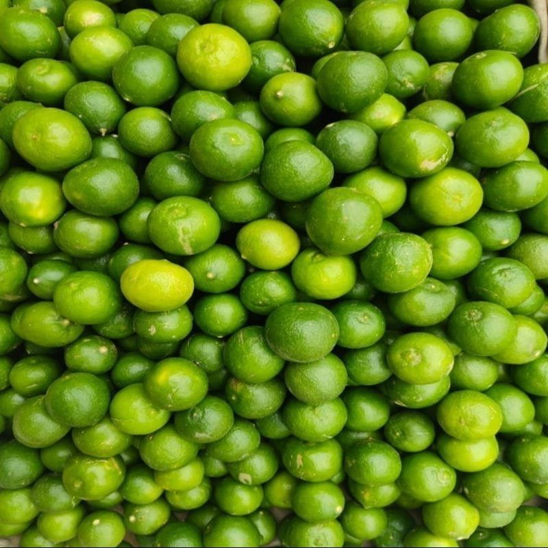 Fresh Green Lemon