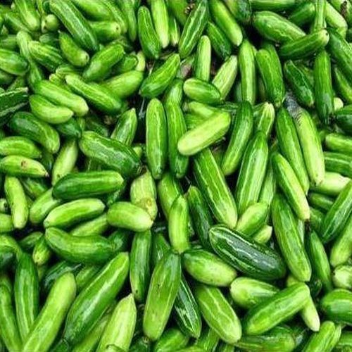 Fresh Ivy Gourd