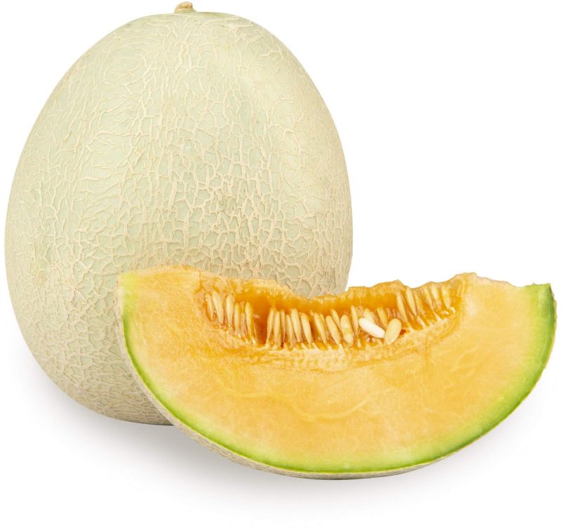 Fresh Round Muskmelon