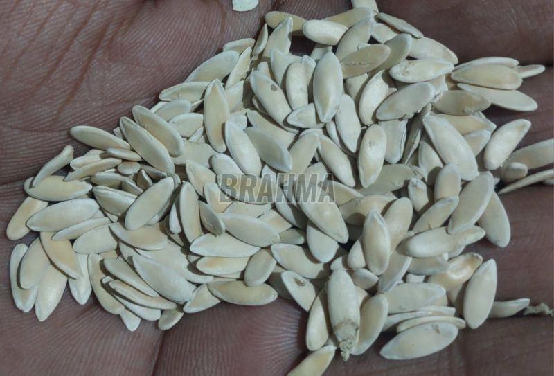 White Muskmelon Seeds