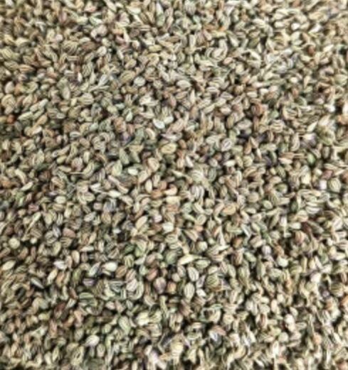 Fresh Ajwain Seed