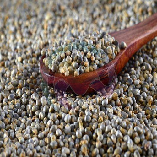 Millet Seeds