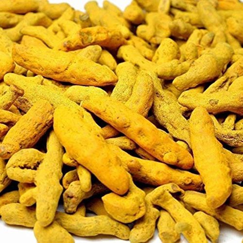 Rajapuri Turmeric Finger