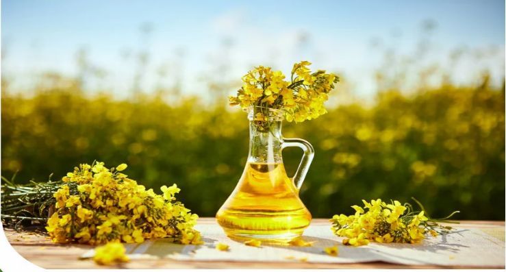 Cold Pressed Rapeseed Edible Oil