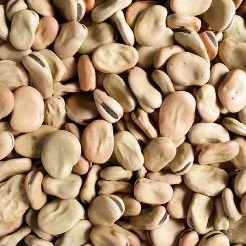 Dried Fava Beans