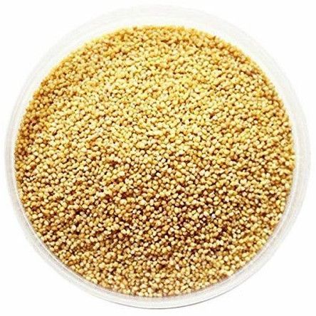 Foxtail Millet
