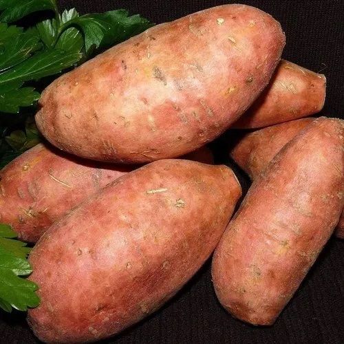 Sweet Potato