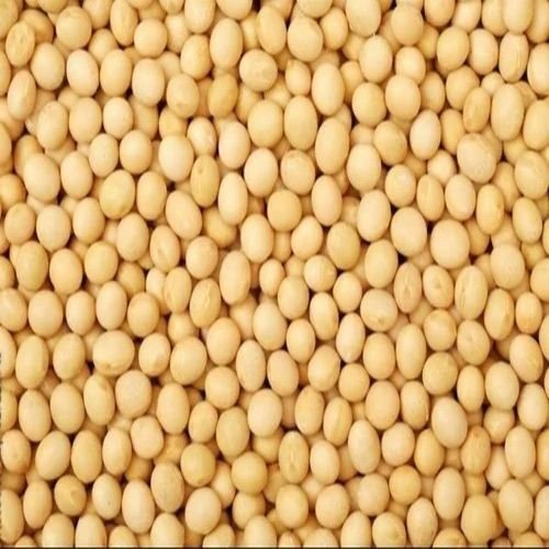 Yellow Peas