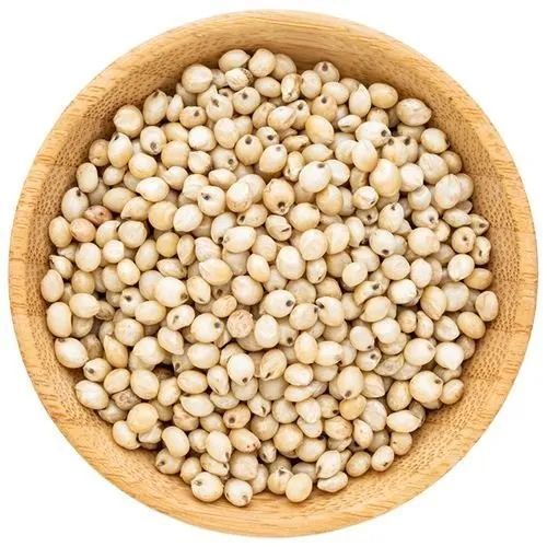 White Sorghum Seeds