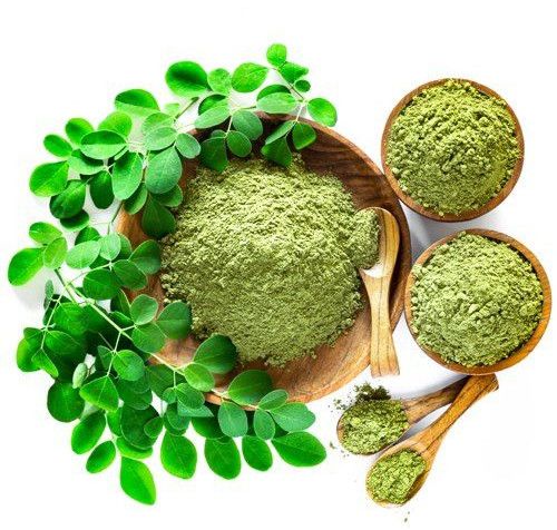 Natural Moringa Leaves Powder