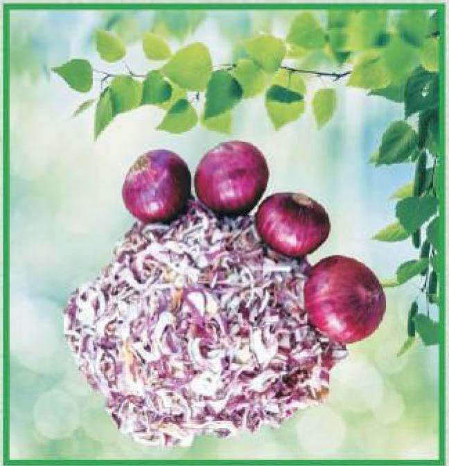 Dehydrated Red Onion Flakes