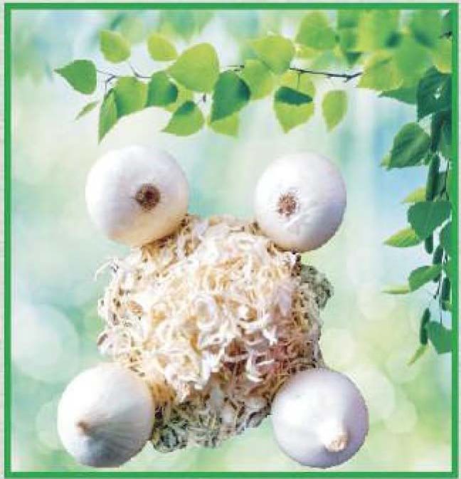 Dehydrated White Onion Flakes