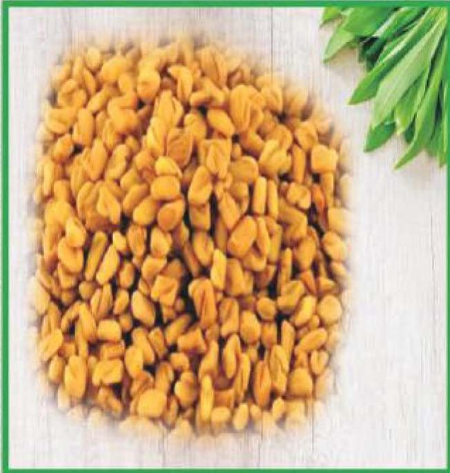 Fenugreek Seeds