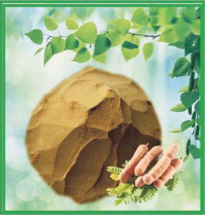 Tamarind Powder