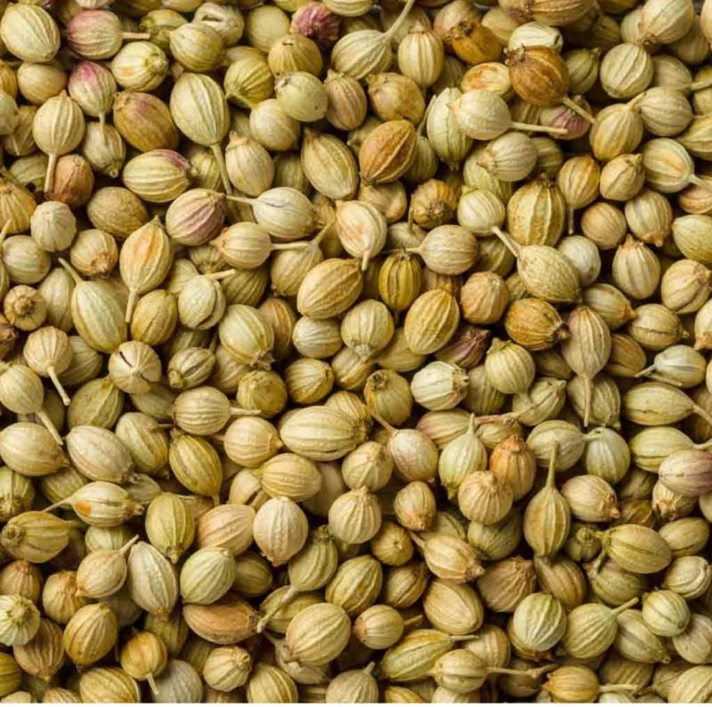 Coriander Seeds