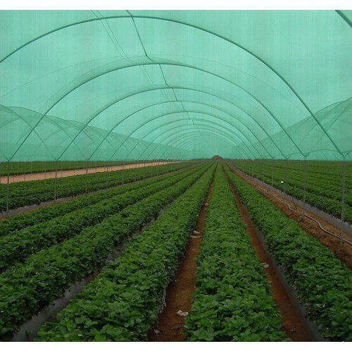 Green Shade Net House