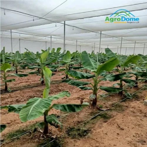 Low Cost Agricultural Green House