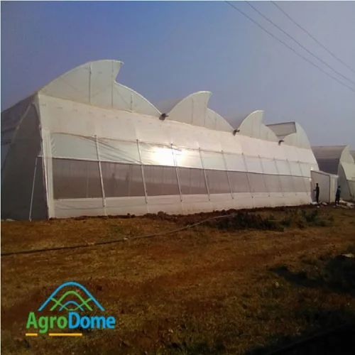 Multi Span Poly Tunnel Green House