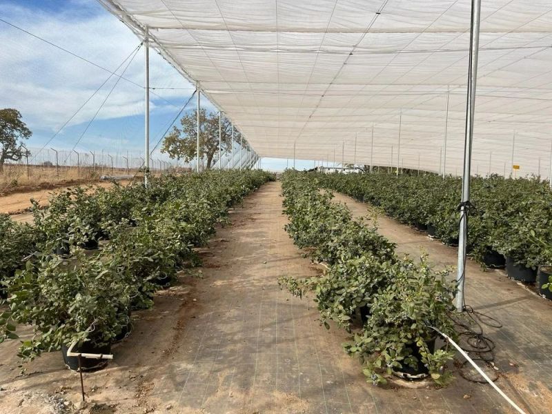 Prefab Double Layer Shade Net House