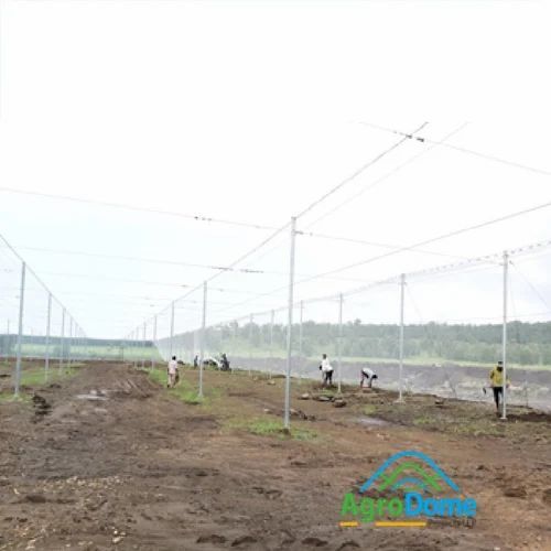 Protected Cultivation Greenhouse For Fruits Farming