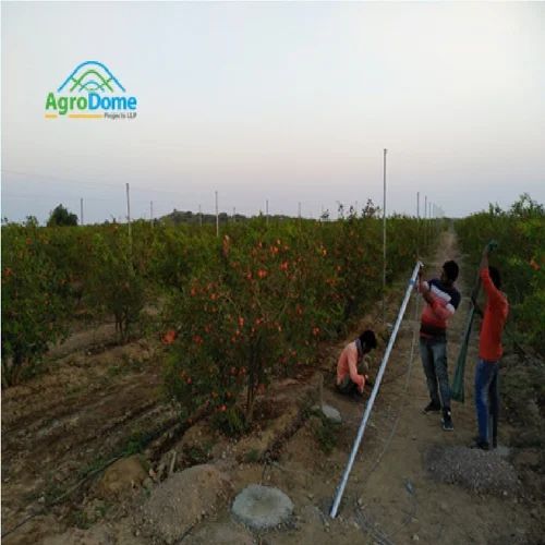 Shade Net House For Pomegranate Orchards