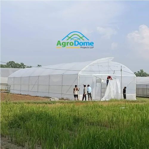 Single Tunnel Polyhouse