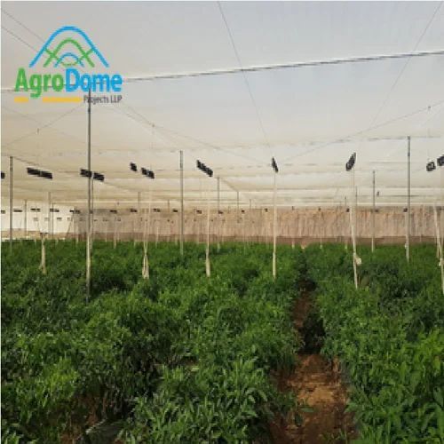 Wire Rope Flat Roof Shaded Net House