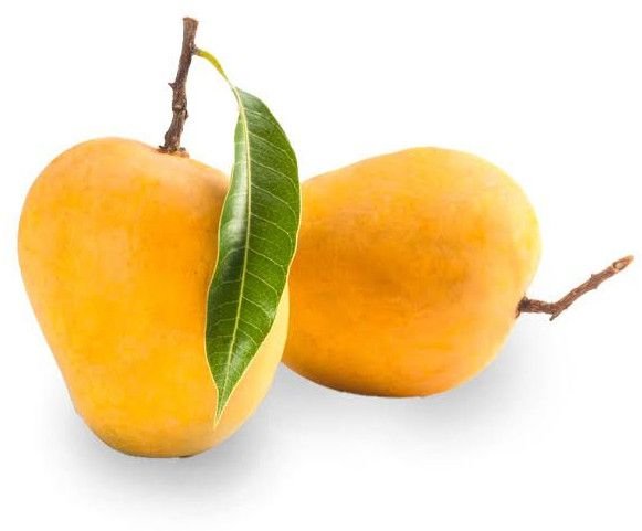 Fresh Alphonso Mango