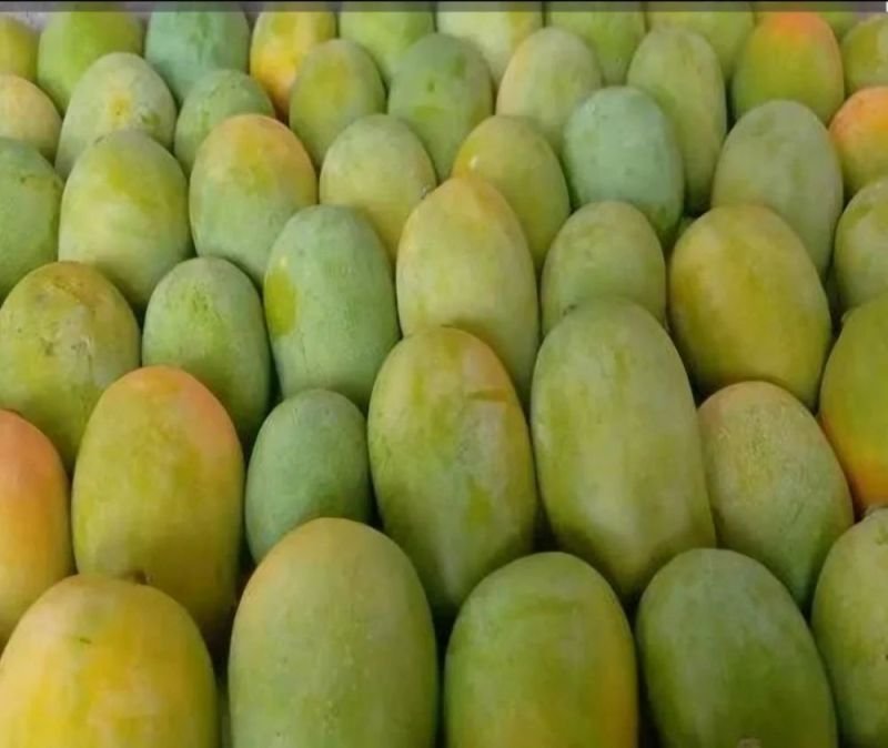 Fresh Langra Mango