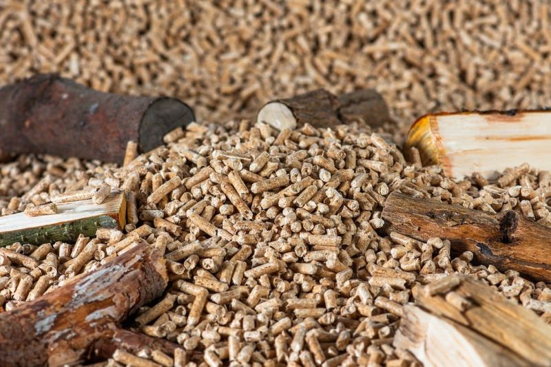 Biofuel Biomass Pellet