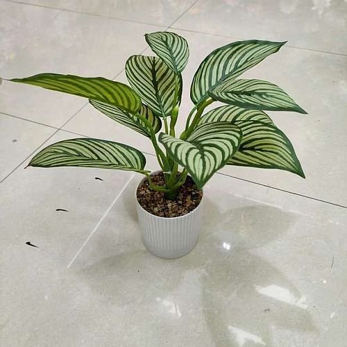 Plastic Glossy Green Artificial Plant