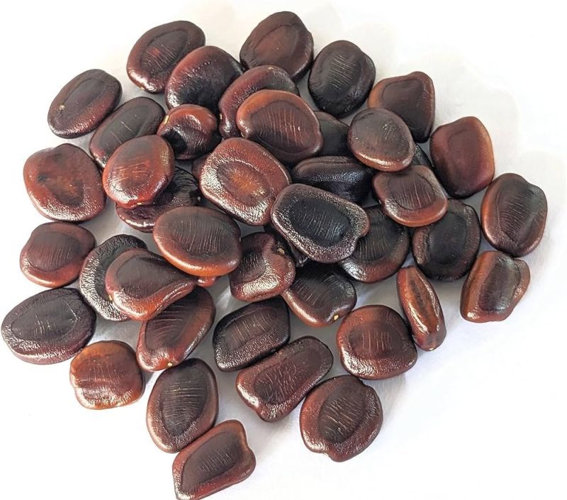 Roasted Tamarind Seeds