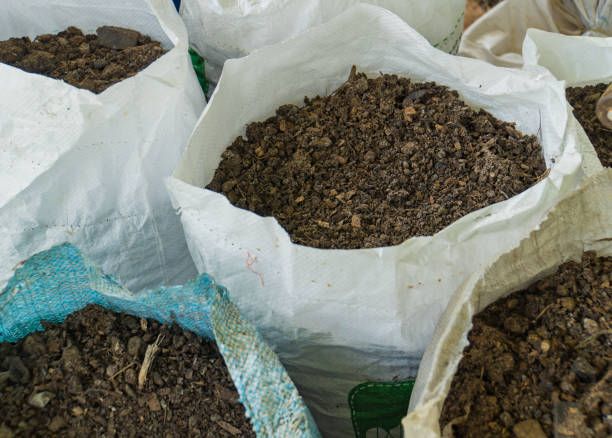 Broiler Chicken Manure