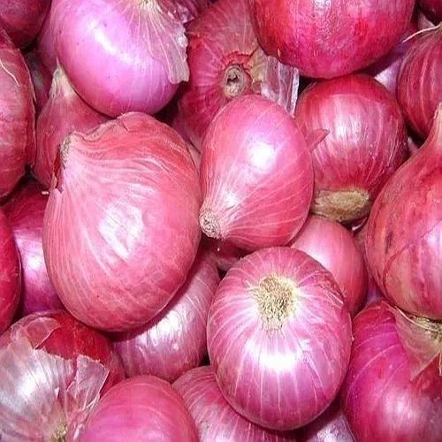 A Grade Pink Onion