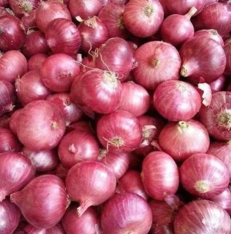 Maharashtra A Grade Fresh Red Onion