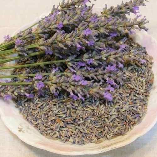 Dried Lavender Flower