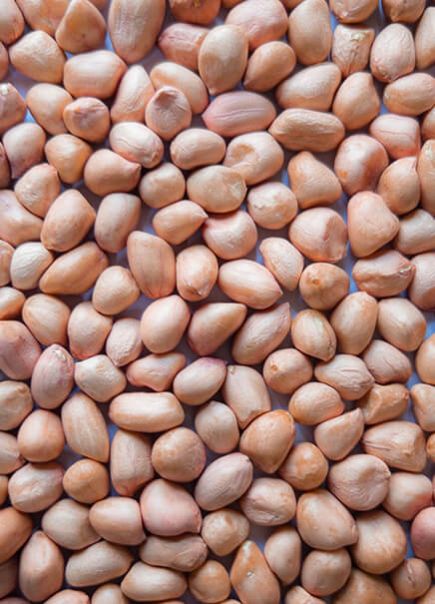 Raw Peanuts