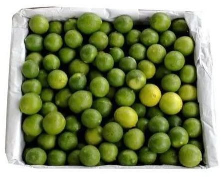 Fresh Green Lemon