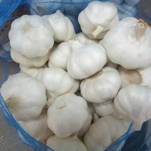 Tulsi Fresh Garlic