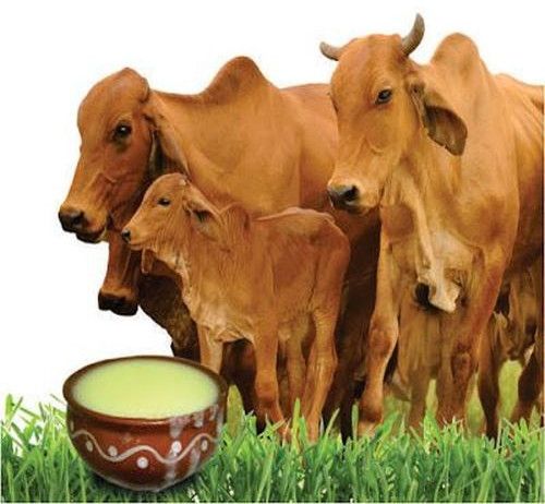 1 Kg A2 Gir Cow Ghee