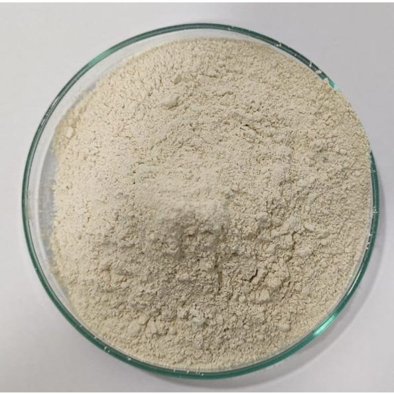 Serratiopeptidase Enzyme Powder