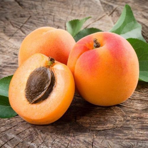 Fresh Natural Apricot