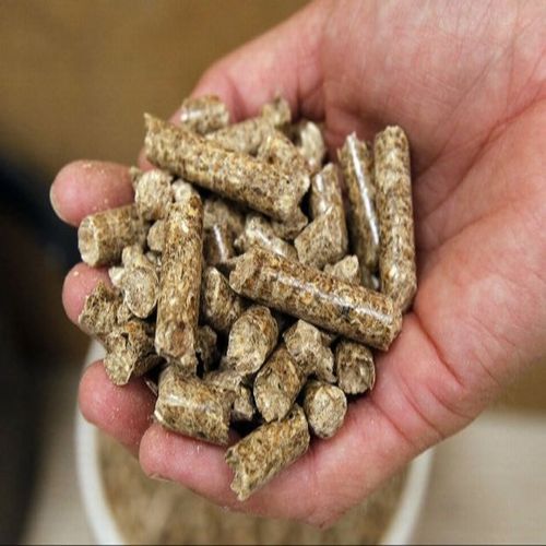 Biomass Wood Pellet