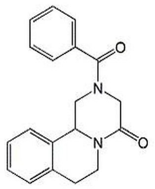 Praziquantel Impurity B Powder