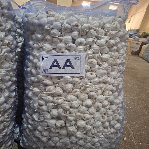 Aa Grade Fresh Whole Garlic