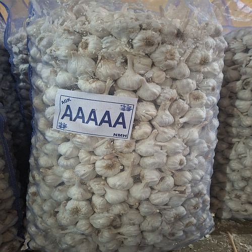 Aaaaa Grade Pure White Fresh Garlic